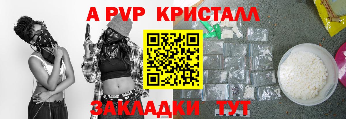 Альфа ПВП СК Гудермес