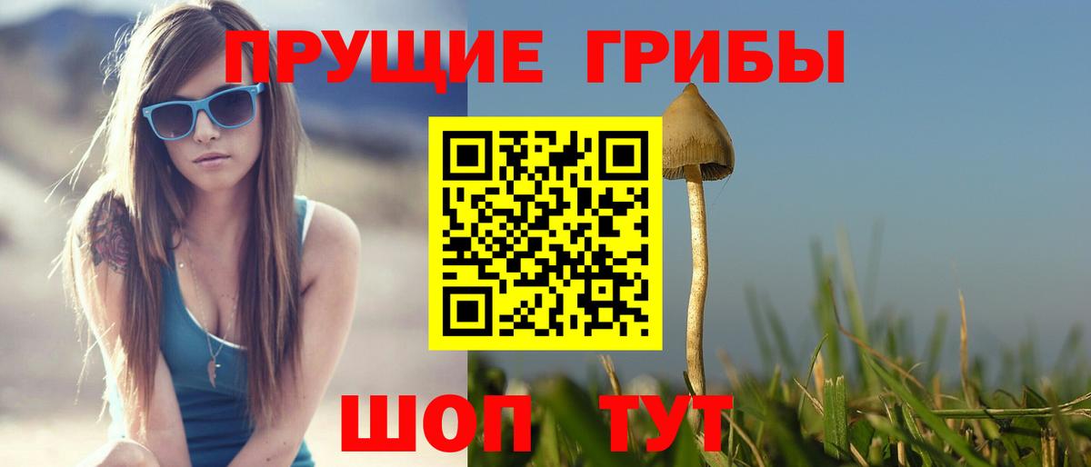 Гудермес  Галлюциногенные грибы MAGIC MUSHROOMS  Вход с VPN 